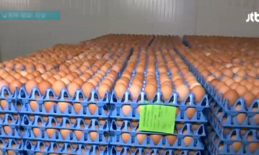 <JTBC 뉴스 방송 영상 캡처>